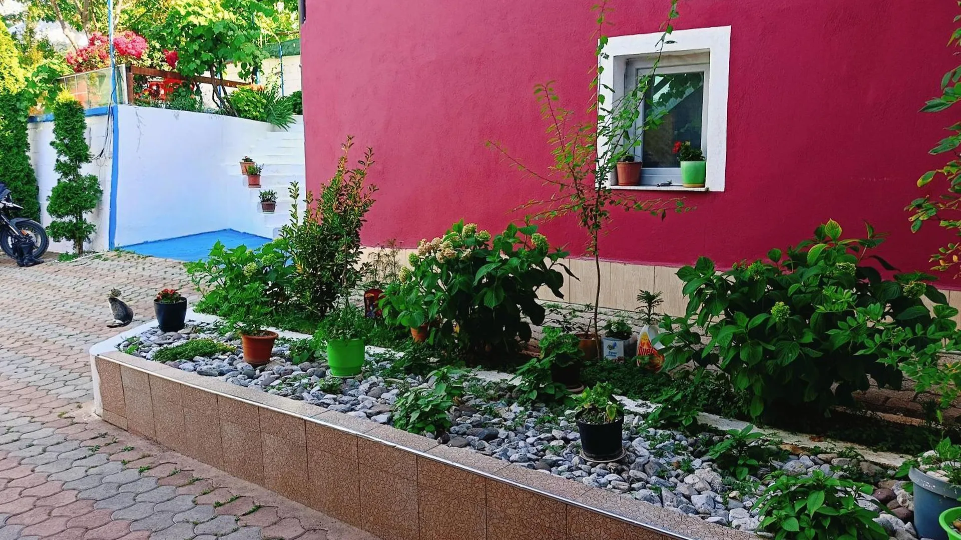 Проживание в семье Superpanorama Guesthouse Kukes