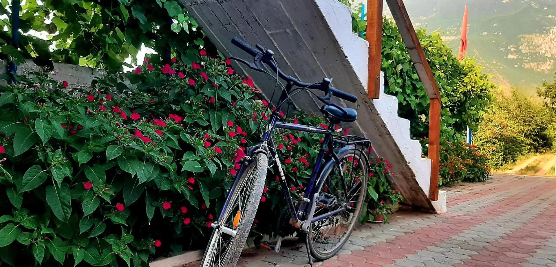 Superpanorama Guesthouse Kukes